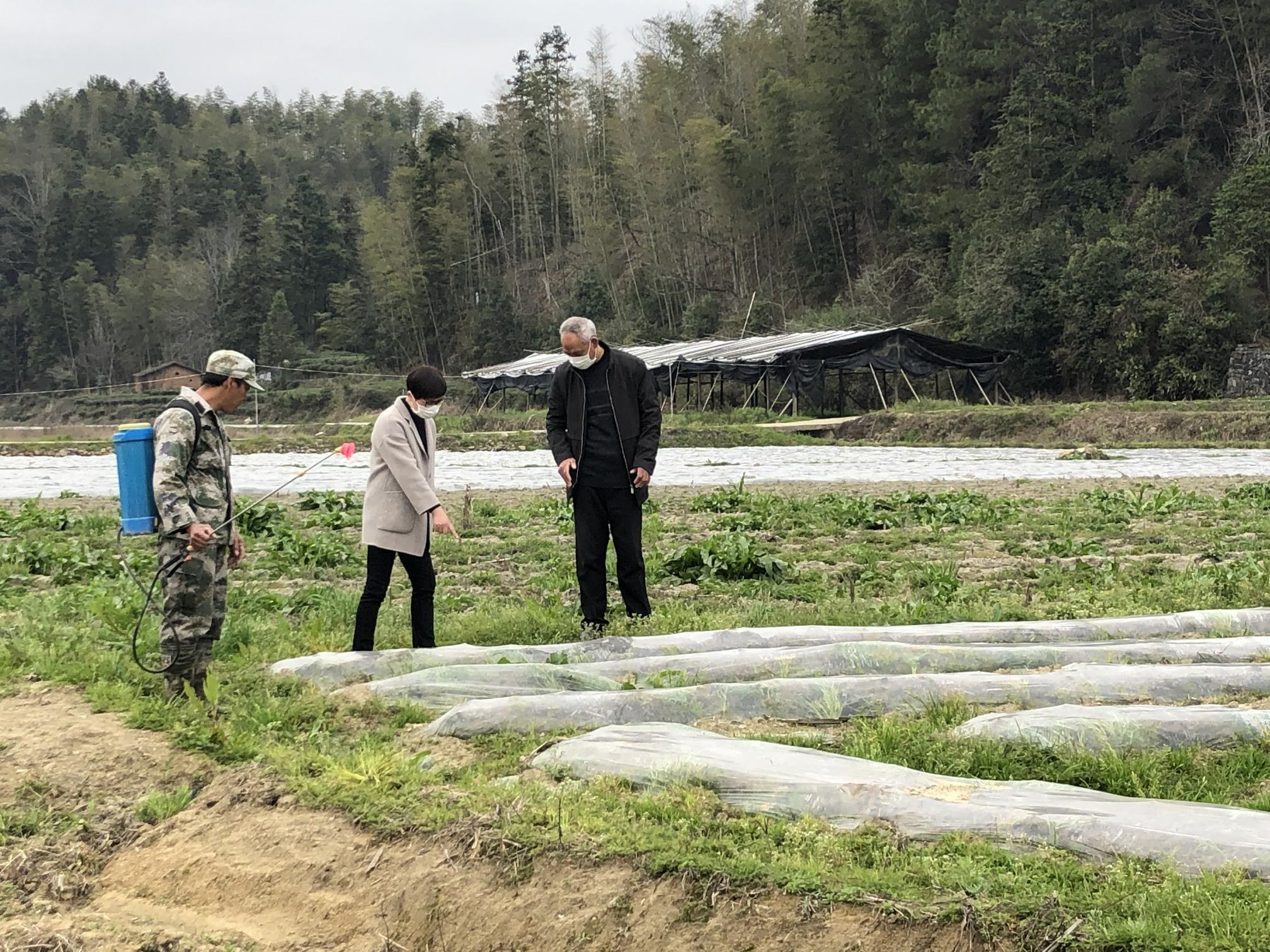 福建北京疫情防控成效显著，仍需保持警惕
