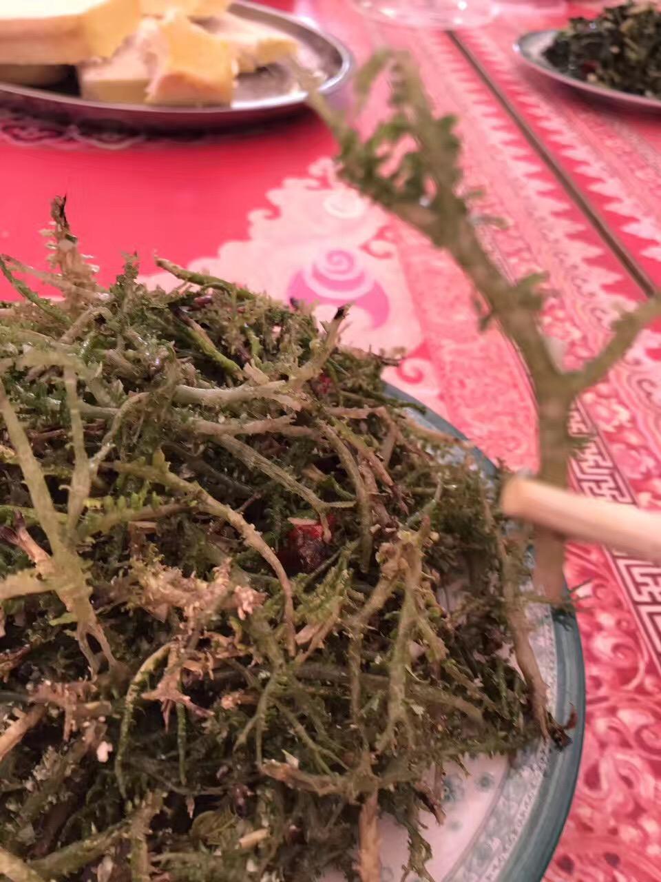 青海科学防控精准施策守护高原净土