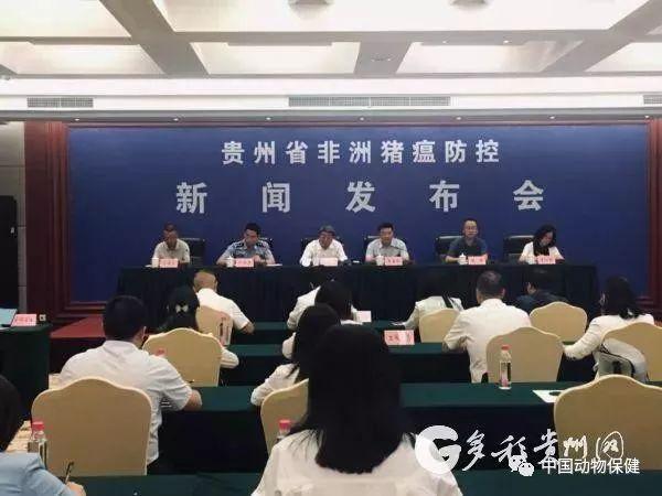 重庆与贵州，疫情报告与情况分析