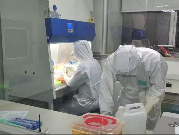 重庆疫情分析报告，防控成效、挑战与对策