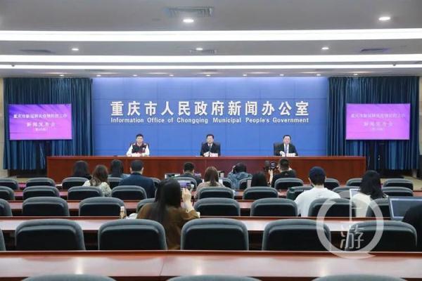 重庆疫情输入，精准防控下的城市挑战与应对策略