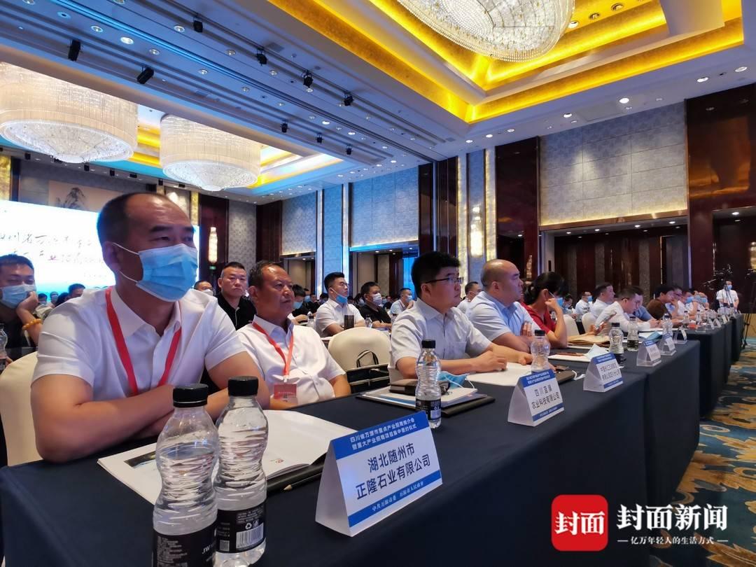 双城联动下的防控挑战与机遇，重庆与南昌疫情最新消息