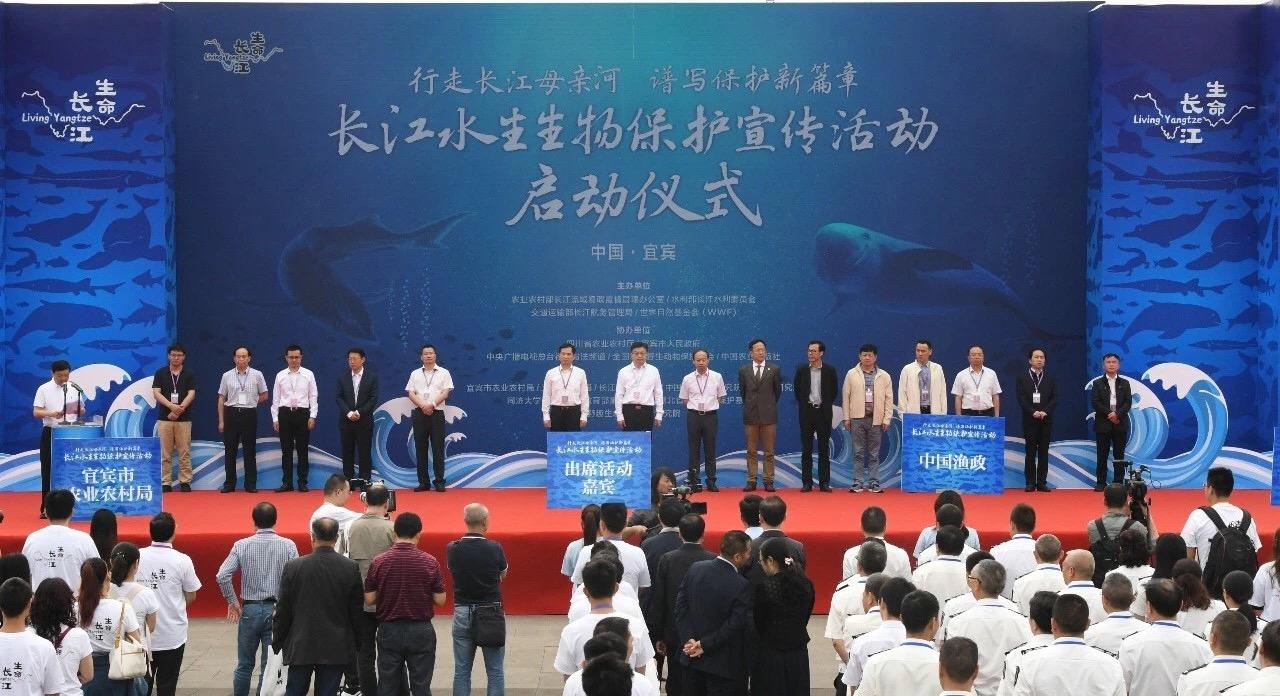 陕西省水利厅党组书记引领水利事业新篇章