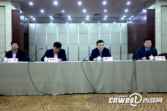 陕西省水利厅办公室副主任，职责、挑战与贡献