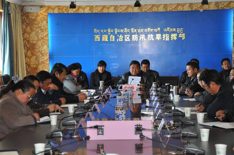 西藏自治区水利厅领导名单及工作成就概述