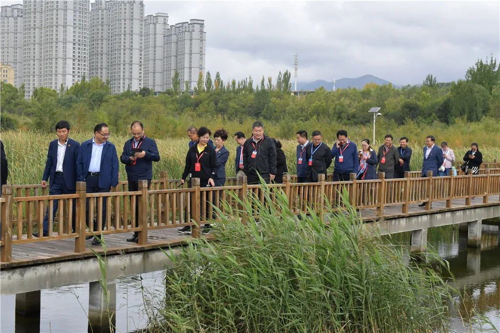 西宁市水利局，守护高原水脉，助力绿色发展