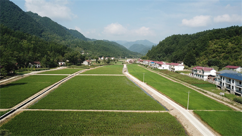 陕西省水利工程局助力乡村振兴，守护绿水青山