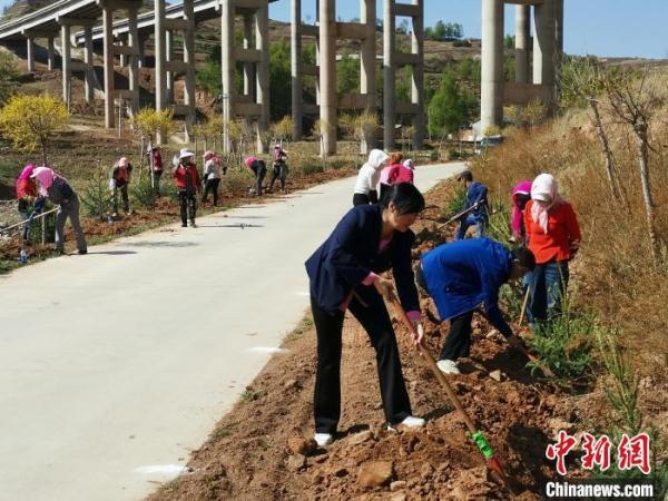 青海疫情通告与成都最新动态，防控措施持续升级