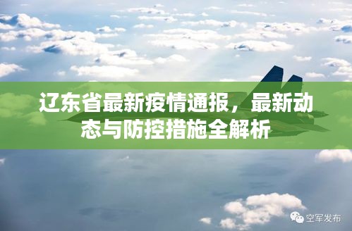 辽宁疫情通报，精准防控下稳定复苏