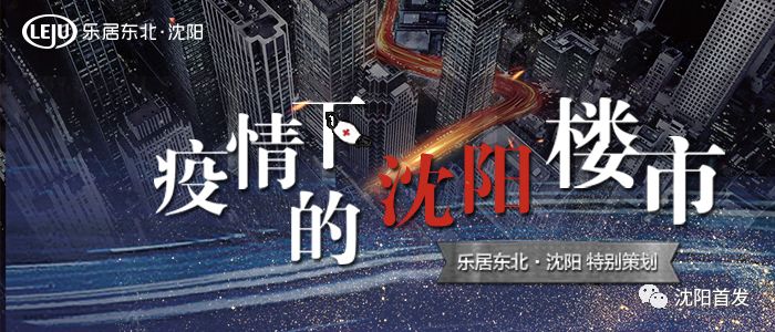 沈阳疫情下的城市挑战与应对策略