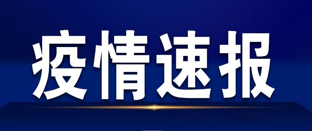 沈阳今日新增病例情况分析