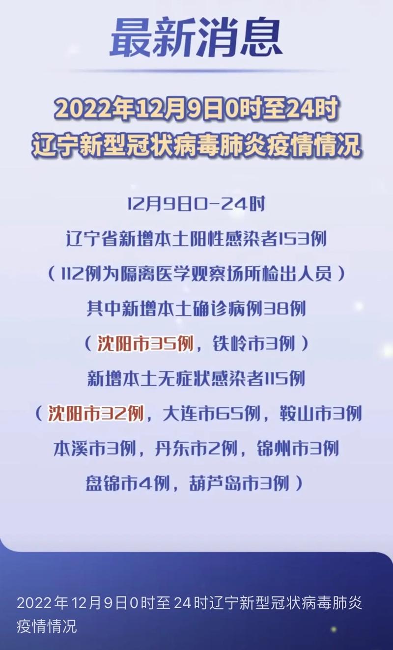 沈阳新增疫情病例，城市挑战与应对策略