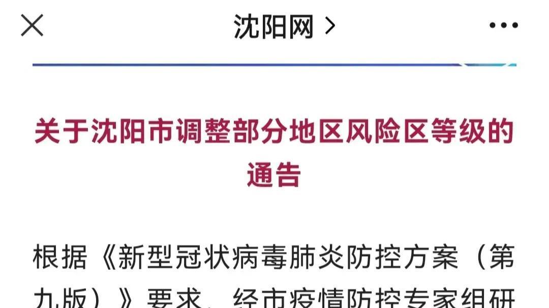 沈阳疫情2020，挑战与应对策略