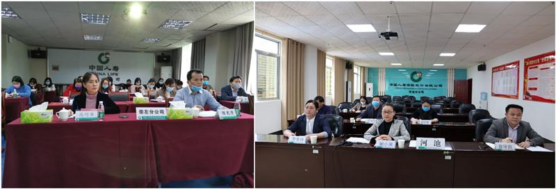 广西南宁，疫情报告与经济复苏的全方位观察