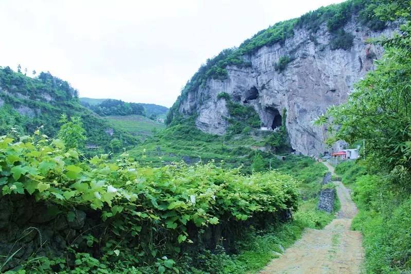 江西与重庆，跨越千山万水的地理与文化探索之旅