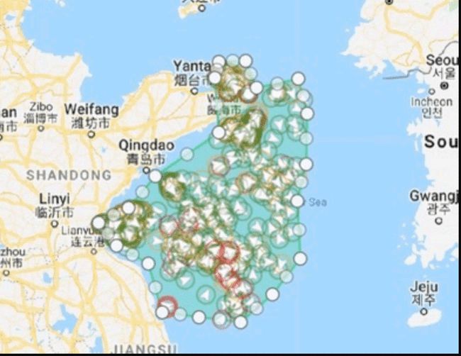 上海，疫情与台风双重挑战下的城市应对