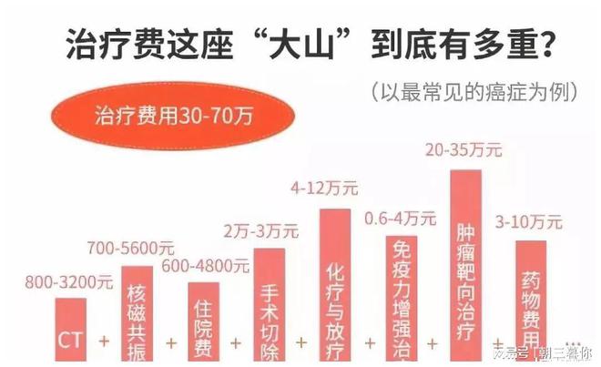 上海疫情最新政策，全面保障市民生活与经济复苏