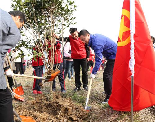 安徽疫情地图，精准防控下的皖美画卷